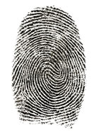 fingerprint